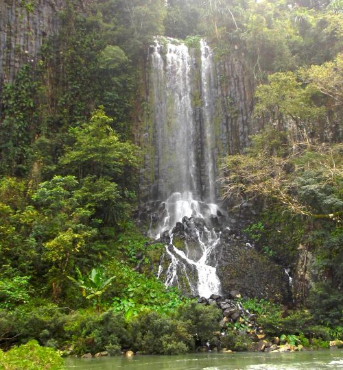 Ponytail falls, Tully River