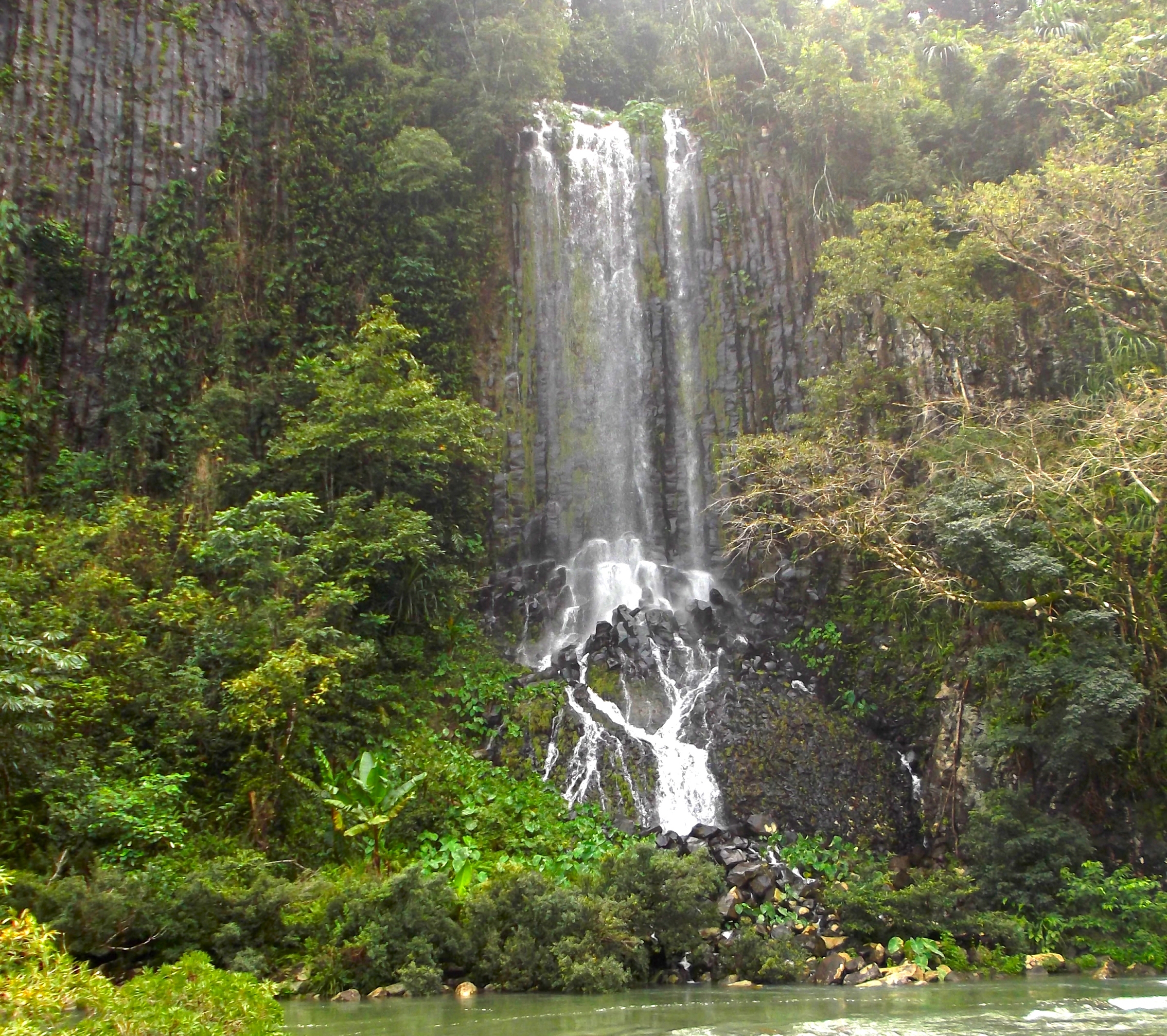 Ponytail falls, Tully River